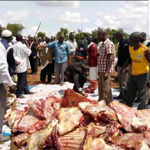 🐐 Qurbani (Sacrifice) Program