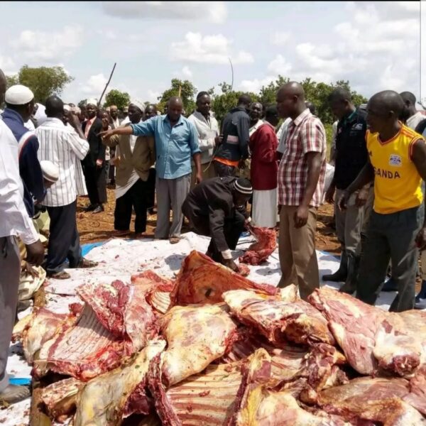 20240524_231335 🐐 Qurbani (Sacrifice) Program