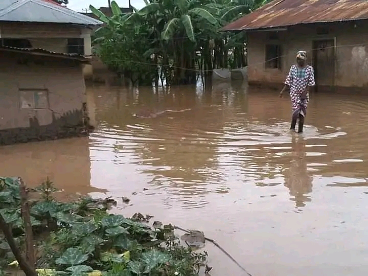 FB IMG 17153715646237527