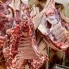 🐐 Qurbani (Sacrifice) Program