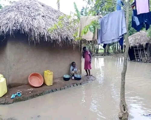 Emergency Relief