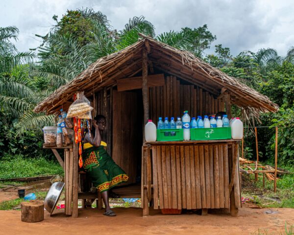 pexels-david-iloba-28486424-13727138 Livelihood Aid & Skills Training